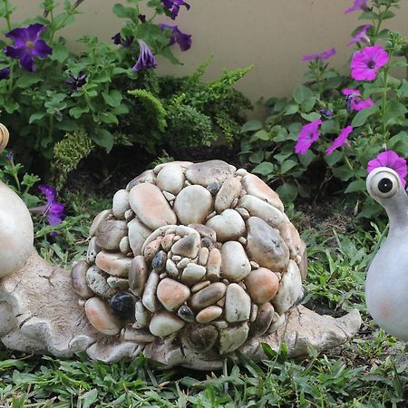 Taomilu B&B Puli Zewnętrze zdjęcie